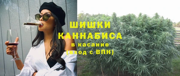 PSILOCYBIN Пересвет