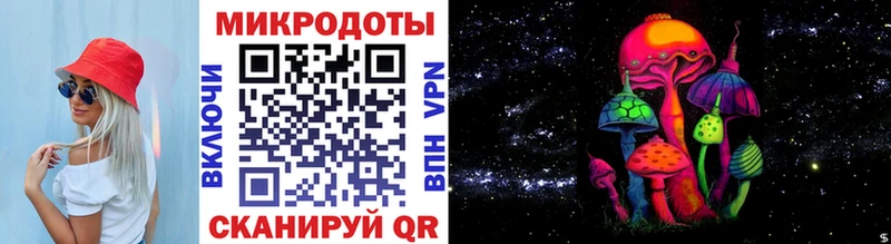Псилоцибиновые грибы Psilocybe  Пестово 